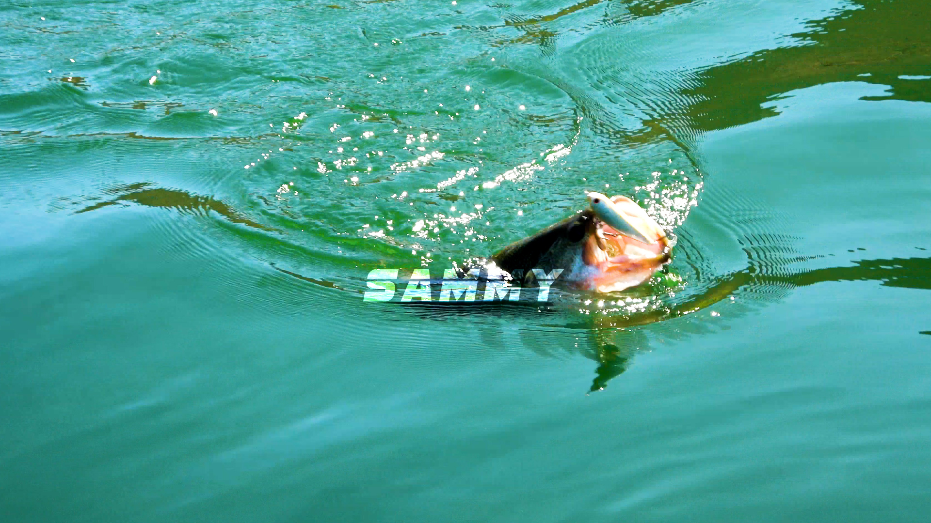 Sammys DEEP STREAM KABUKI L 4点セット Amazon.com : LUCKY CRAFT Sammy 105 Topwater Fishing Lures, 3 Hook
